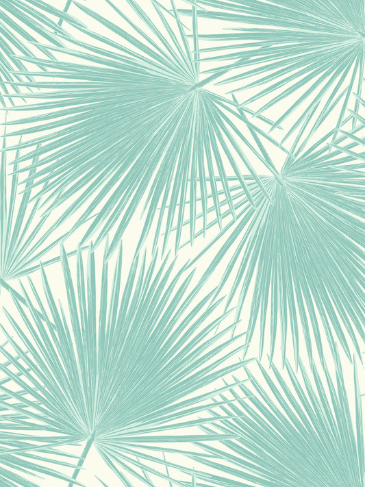 Seabrook Designs  Aruba Palm Coastal Powder Blue , White   - TA20202