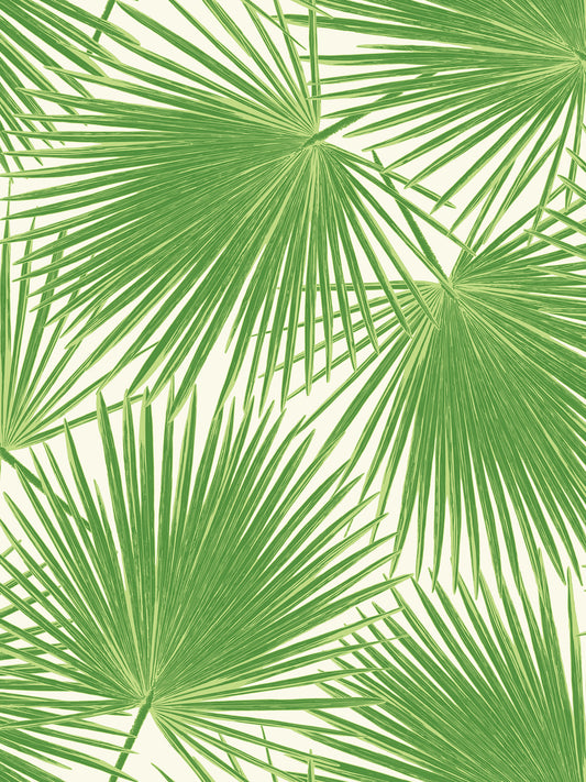 Seabrook Designs  Aruba Palm Coastal Fern Green , White   - TA20204