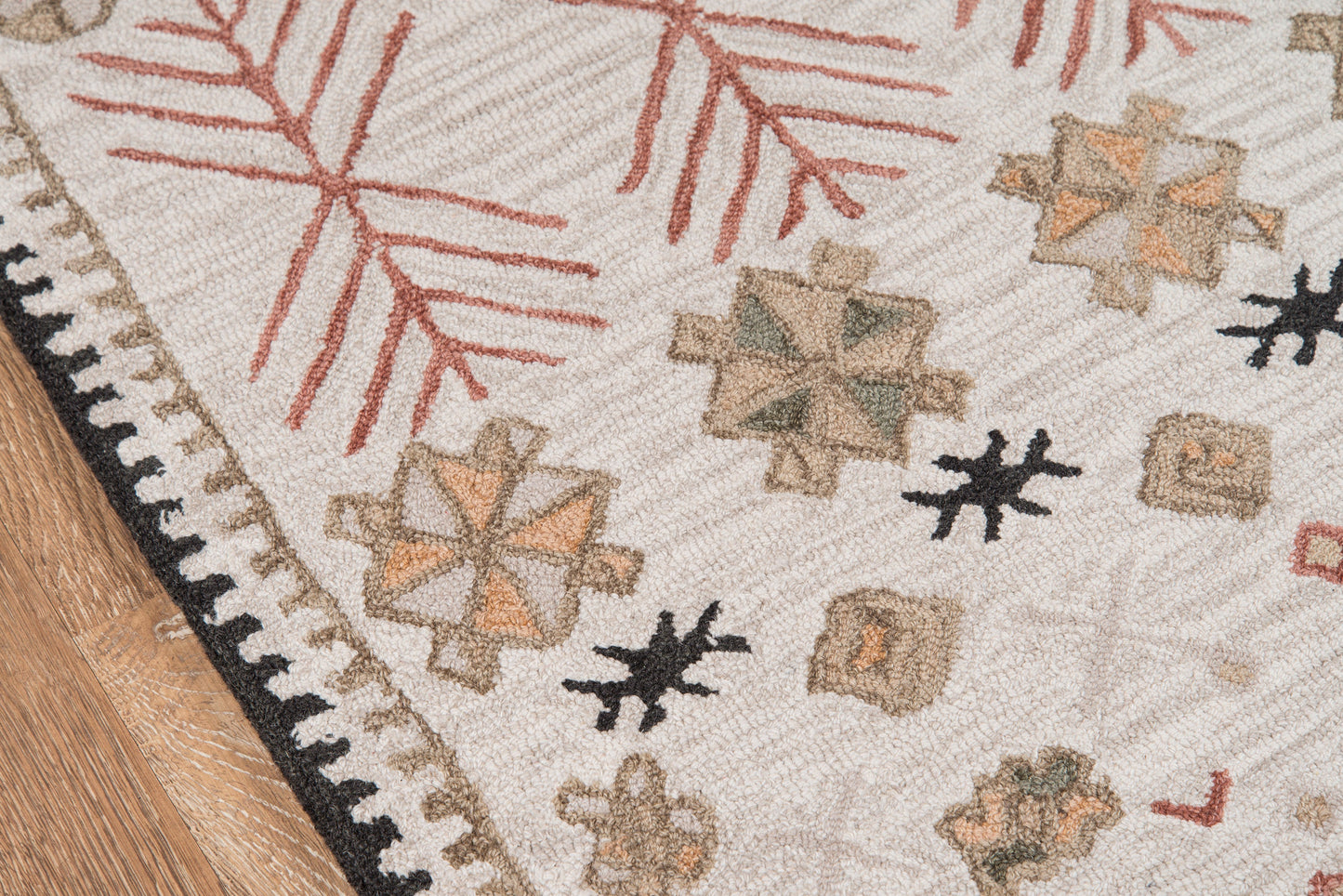 Cream geometric rug with tan, sage and black motifs, red twig patterns, black-and-white bordered fringe on wood floor.