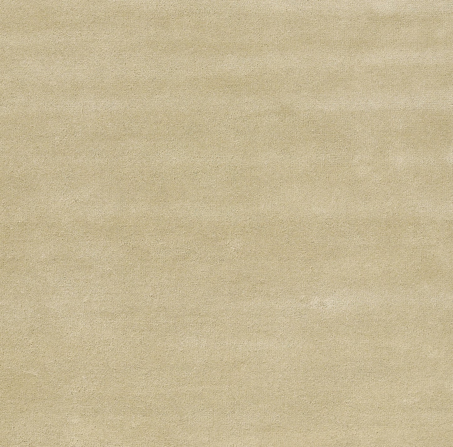 Beige rug with a soft woven texture; 2' x 4' rectangular rug.