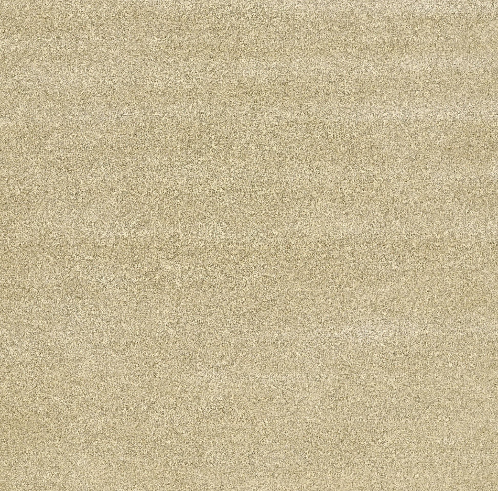 Beige rug with a soft woven texture; 2' x 4' rectangular rug.