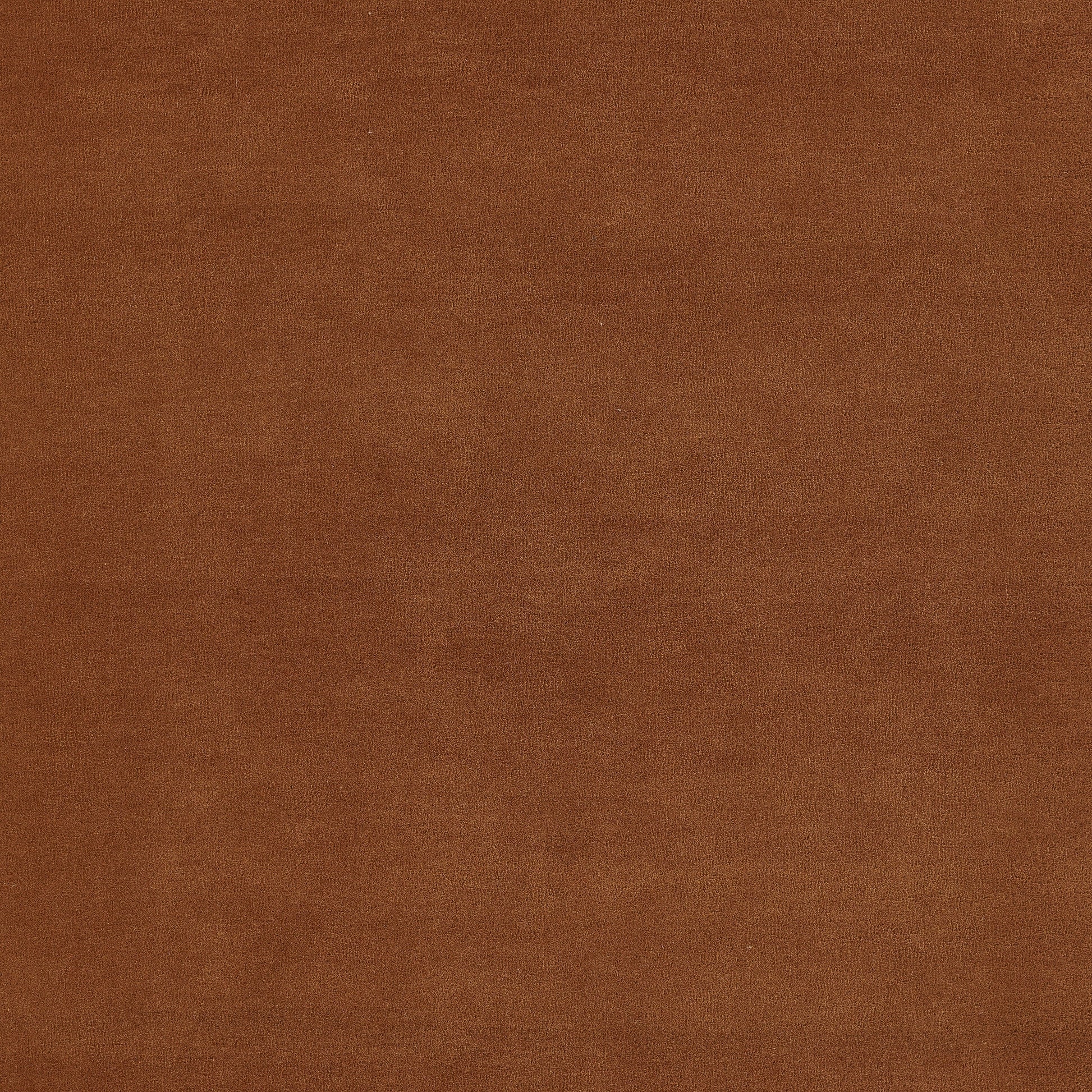 Brown rug with warm tan color and subtle grain, featuring a faux leather texture; 8' x 10'.