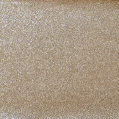 KRAVET COUTURE VINYL/FAUX LEATHER TEXTURE WHITE,WHITE,   - TANTALUM.1.0