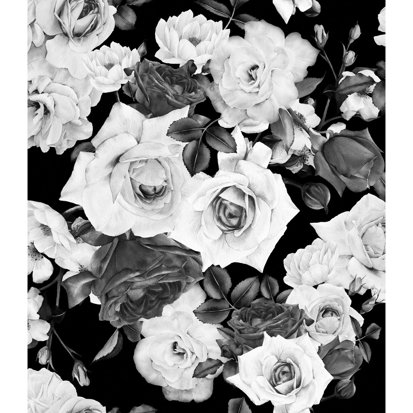 York Wallcoverings RoomMates Floral Tapestry Modern Botanical Blacks  Wallpaper - TAP4887LG