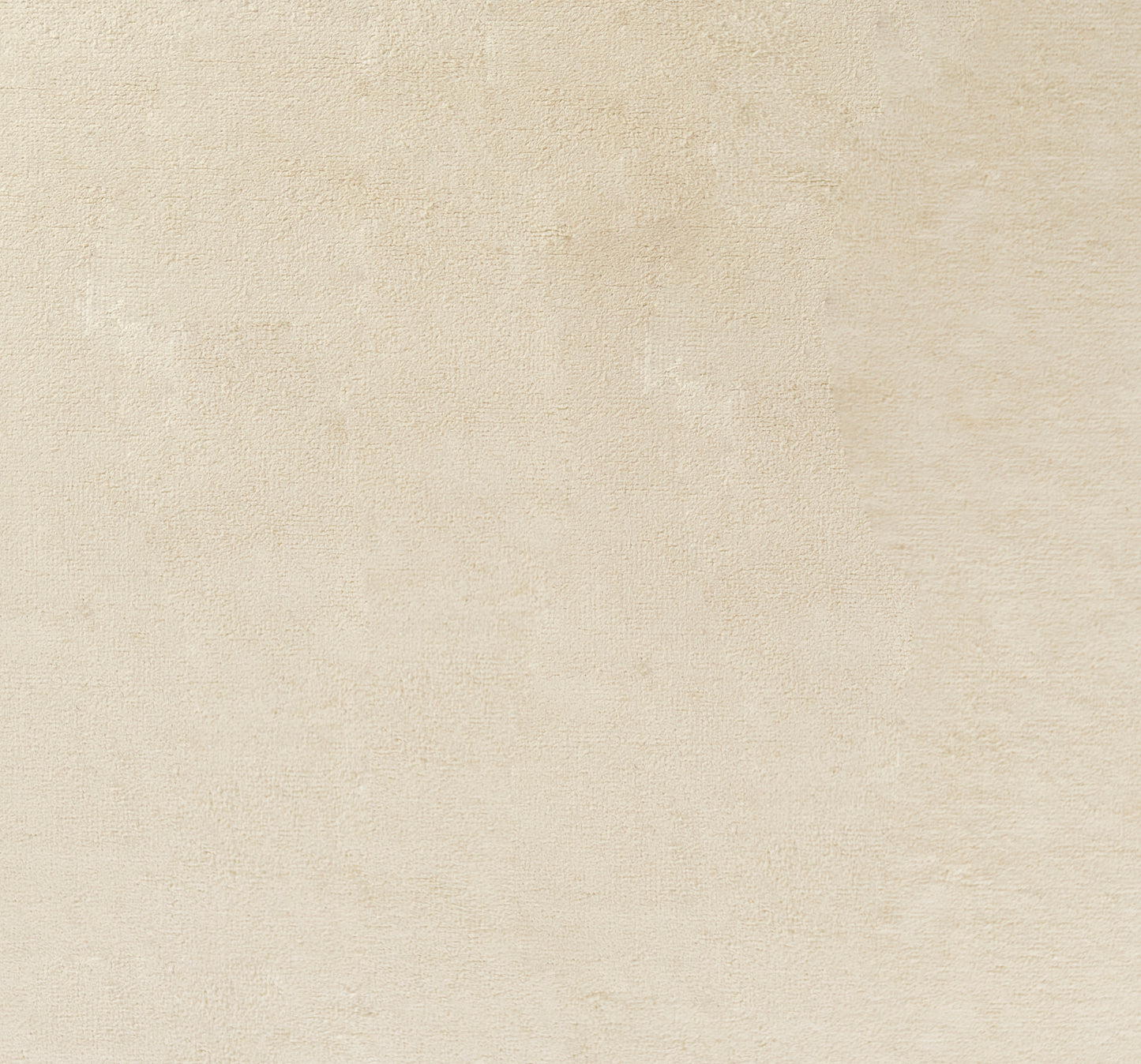Beige textured rug runner with a mottled finish; warm ivory tones and subtle woven texture, 3' x 8'.