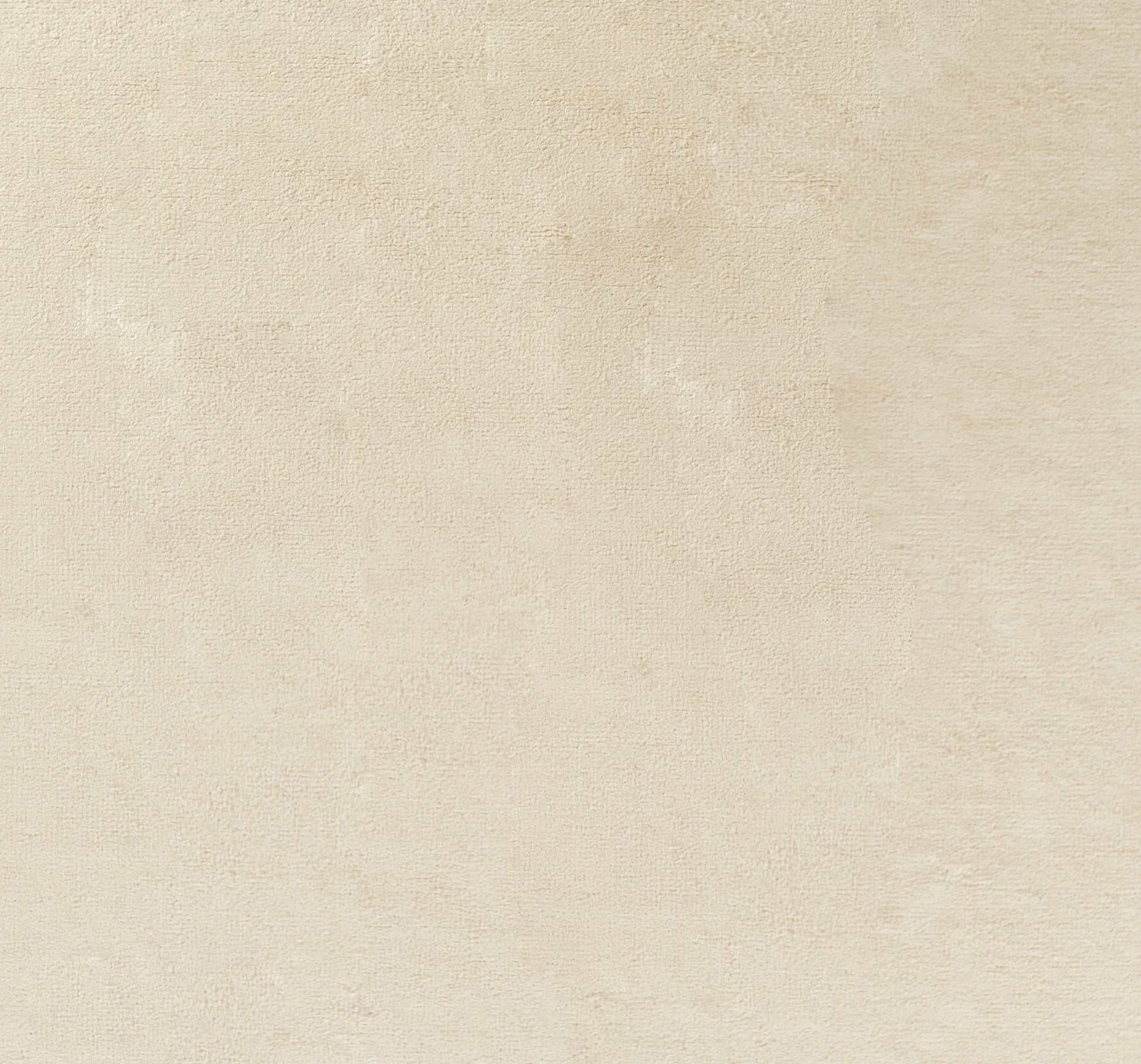 Beige textured rug runner with a mottled finish; warm ivory tones and subtle woven texture, 3' x 8'.