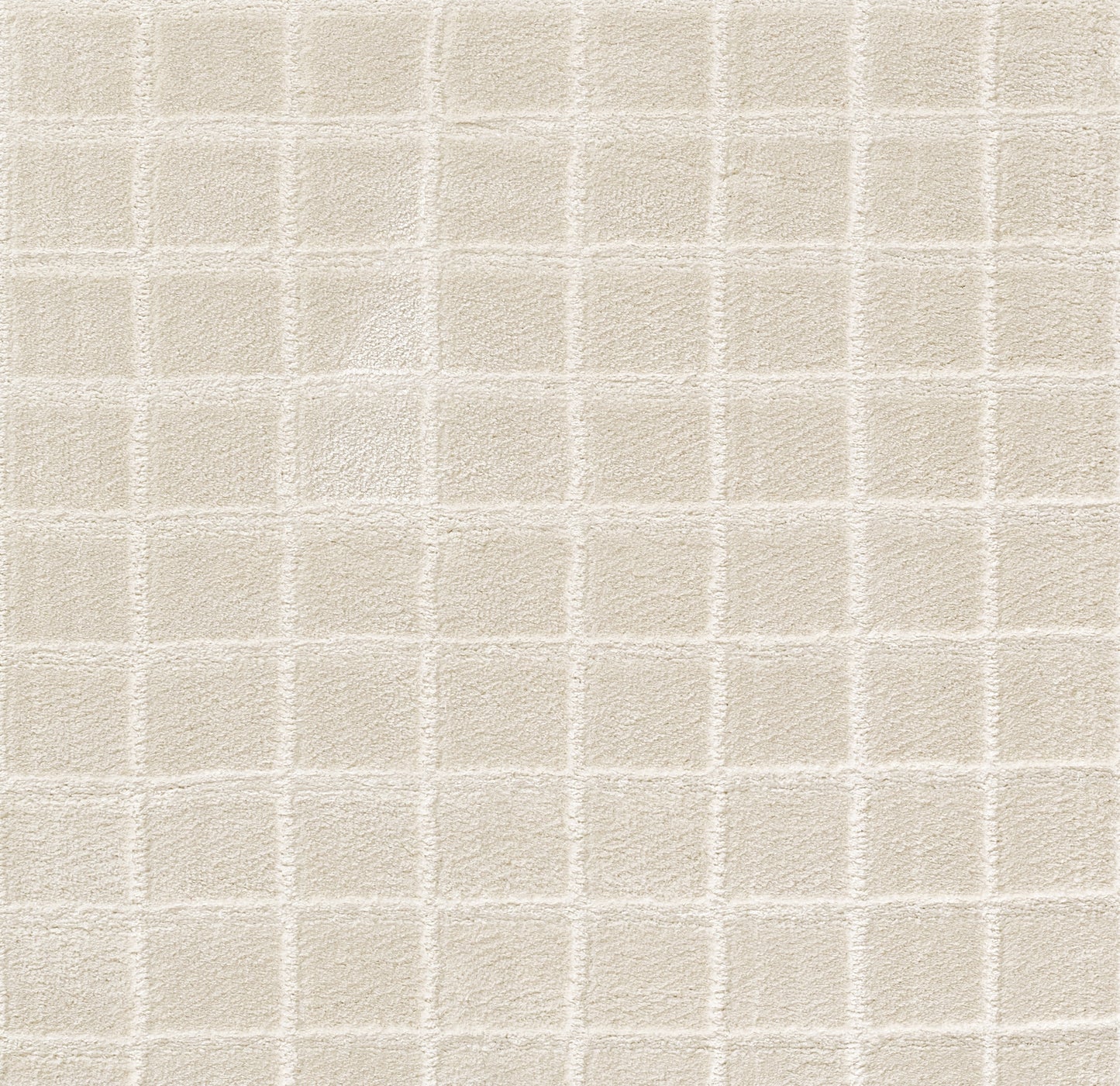 Beige rug with a raised square grid pattern and plush pile.