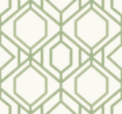 York Wallcoverings Earthy Tones Sawgrass Trellis Green Wallpaper  Trellis and Lattice Greens   - TC2631
