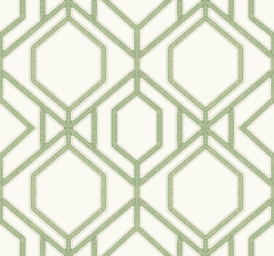 York Wallcoverings Earthy Tones Sawgrass Trellis Green Wallpaper  Trellis and Lattice Greens   - TC2631