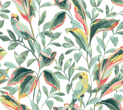 York Wallcoverings York Wallcoverings Tropical Love Birds White and Coral Wallpaper  Botanical Whites and Off-Whites   - TC2653