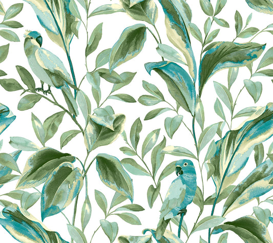 York Wallcoverings Inspired by Color Tropical Love Birds White and Aqua Wallpaper  Botanical Whites and Off-Whites   - TC2654