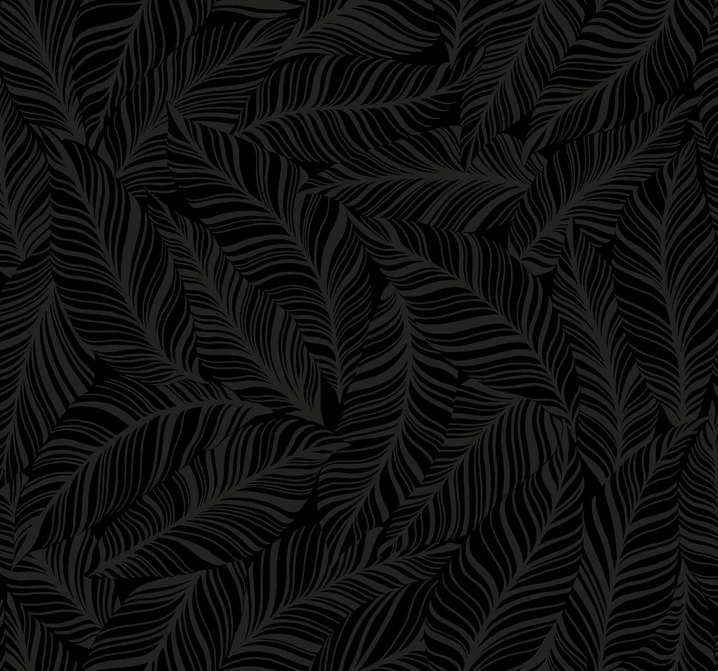 York Wallcoverings York Wallcoverings Rainforest Canopy Black Wallpaper  Botanical Blacks   - TC2712
