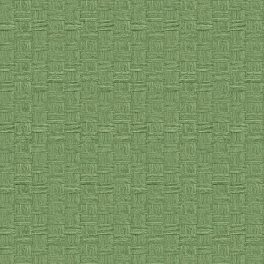 Seabrook Designs  Seagrass Weave Weave Coastal Green   - TC70504
