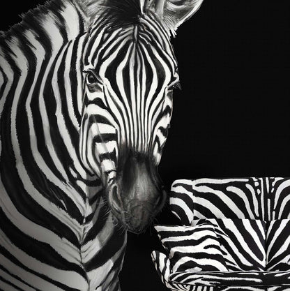 Dolce & Gabbana Casa  Zebra Mural Animal Print Contemporary Blacks   - TCW001TCAI5UZ005