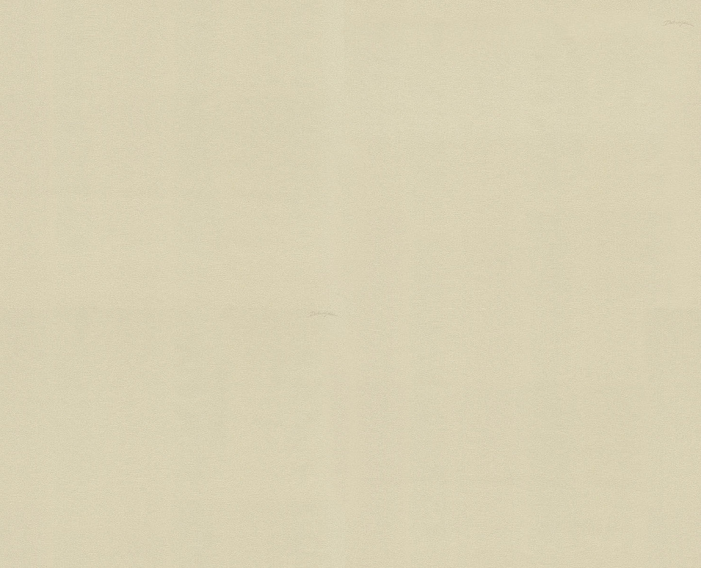 Dolce & Gabbana Casa  Telleta Solid Color Contemporary Warm Neutrals , Beiges   - TCW007TCAHNU0059