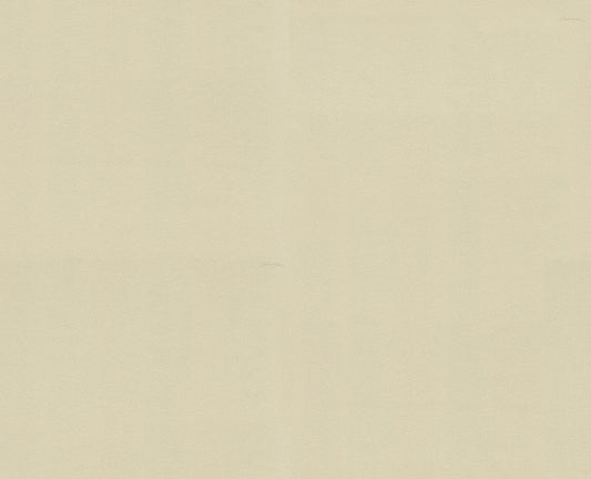 Dolce & Gabbana Casa  Telleta Solid Color Contemporary Warm Neutrals , Beiges   - TCW007TCAHNU0059