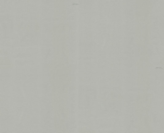 Dolce & Gabbana Casa  Telleta Solid Color Contemporary Grays   - TCW007TCAHNU0060