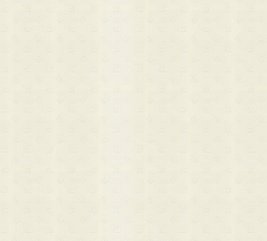 Dolce & Gabbana Casa  DG Mediano Logo Contemporary Whites , Off Whites   - TCW007TCAHOU0073