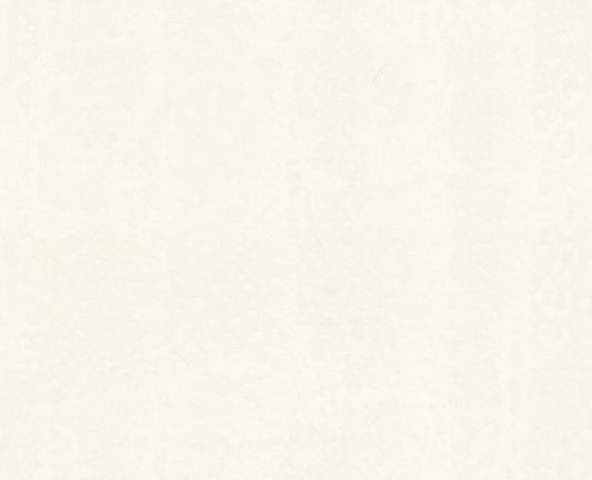 Dolce & Gabbana Casa  Leopardo Dolce Animal Print Contemporary Whites , Off Whites   - TCW007TCAI9UL001