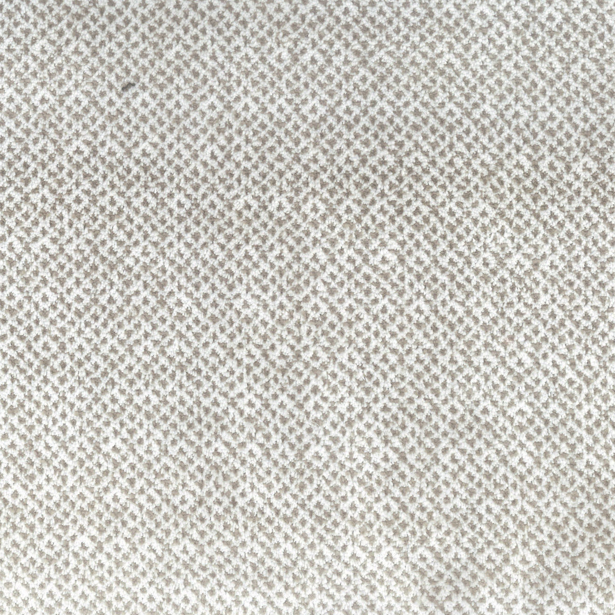 STOUT TEXTILES  UPHOLSTERY,VELVET TRADITIONAL, SOLID DOVE   - TEAT-1