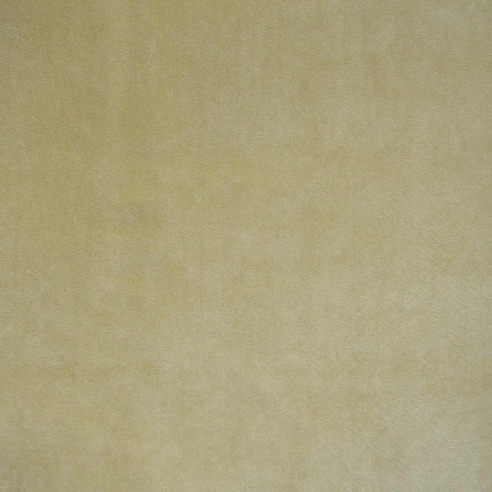 Velvet-textured fabric swatch in creme, beige, yellow and gold, suitable for upholstery or crafts.