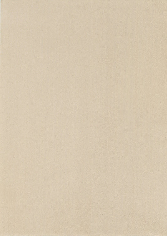 NICHOLASJOHN INC. Natural - Textured Wallcoverings SUEDE      - NJ25TF1501