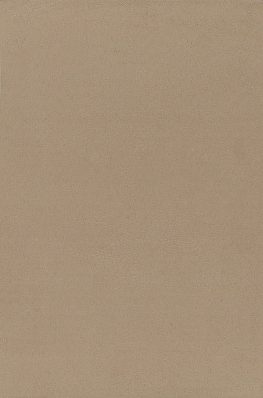NICHOLASJOHN INC. Natural - Textured Wallcoverings SUEDE      - NJ25TF1503