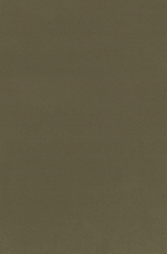 NICHOLASJOHN INC. Natural - Textured Wallcoverings SUEDE      - NJ25TF1505