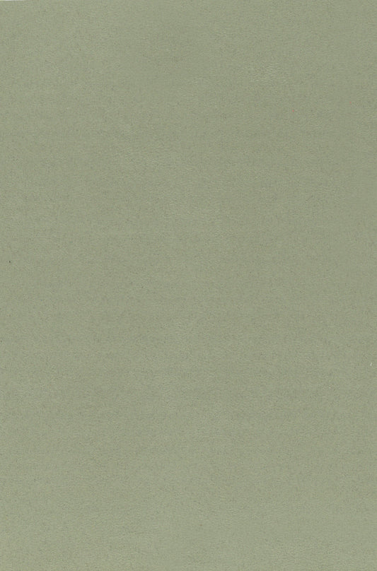 NICHOLASJOHN INC. Natural - Textured Wallcoverings SUEDE      - NJ25TF1506