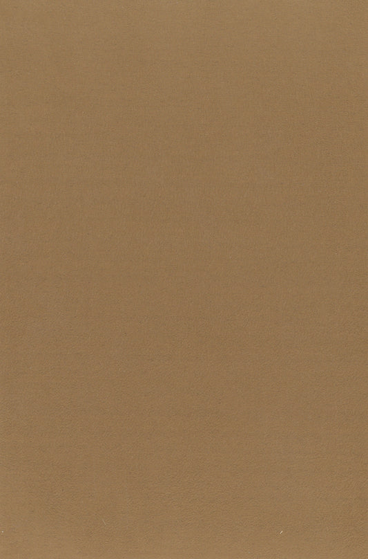 NICHOLASJOHN INC. Natural - Textured Wallcoverings SUEDE      - NJ25TF1515