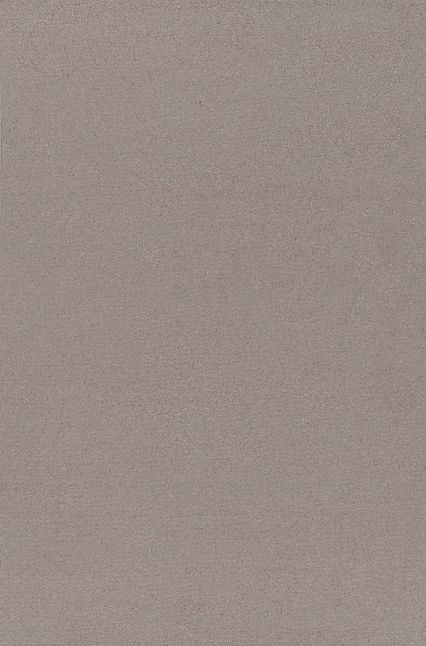 NICHOLASJOHN INC. Natural - Textured Wallcoverings 100%Polyester      - NJ25TF1517