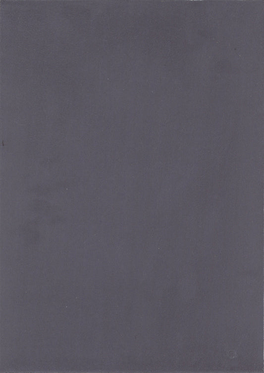 NICHOLASJOHN INC. Natural - Textured Wallcoverings SUEDE      - NJ25TF1531