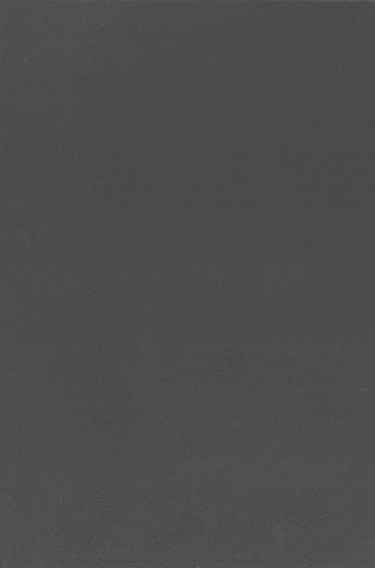 NICHOLASJOHN INC. Natural - Textured Wallcoverings SUEDE      - NJ25TF1555