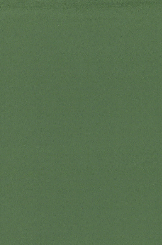 NICHOLASJOHN INC. Natural - Textured Wallcoverings SUEDE      - NJ25TF1568