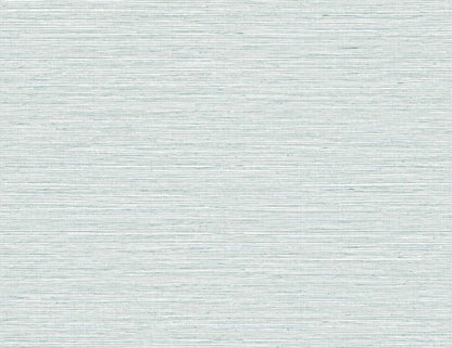 DuPont Tedlar Textures Edmond Faux Sisal Faux Grasscloth Contemporary Blue Matte  - TG60308