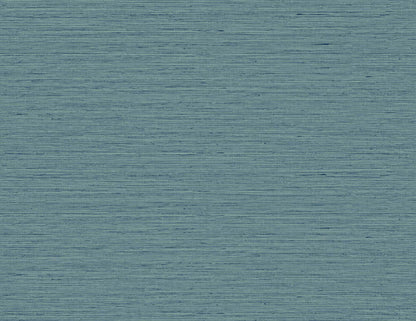 DuPont Tedlar Textures Edmond Faux Sisal Faux Grasscloth Contemporary Blue Matte  - TG60324