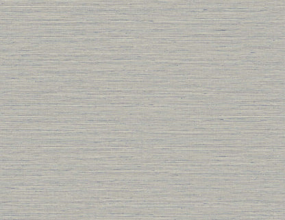 DuPont Tedlar Textures Edmond Faux Sisal Faux Grasscloth Contemporary Grey Matte  - TG60332