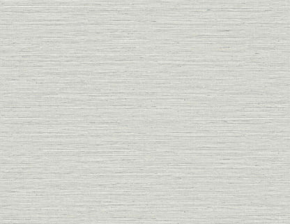 DuPont Tedlar Textures Edmond Faux Sisal Faux Grasscloth Contemporary Grey Matte  - TG60333