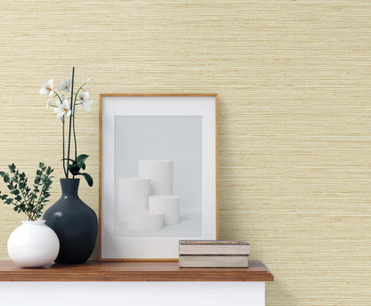 DuPont Tedlar Textures Edmond Faux Sisal Faux Grasscloth Contemporary Tan Matte  - TG60337