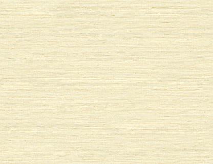 DuPont Tedlar Textures Edmond Faux Sisal Faux Grasscloth Contemporary Tan Matte  - TG60337