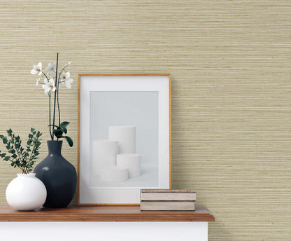 DuPont Tedlar Textures Edmond Faux Sisal Faux Grasscloth Contemporary Beige Matte  - TG60338