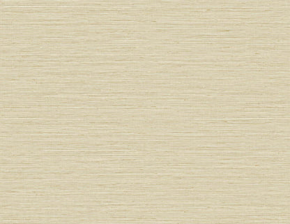 DuPont Tedlar Textures Edmond Faux Sisal Faux Grasscloth Contemporary Beige Matte  - TG60338
