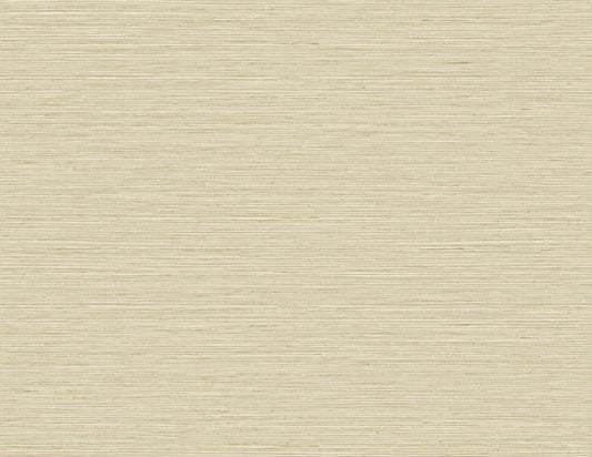 DuPont Tedlar Textures Edmond Faux Sisal Faux Grasscloth Contemporary Beige Matte Sidewall - TG60338