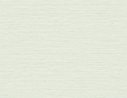 DuPont Tedlar Textures Edmond Faux Sisal Faux Grasscloth Contemporary Green Matte  - TG60346