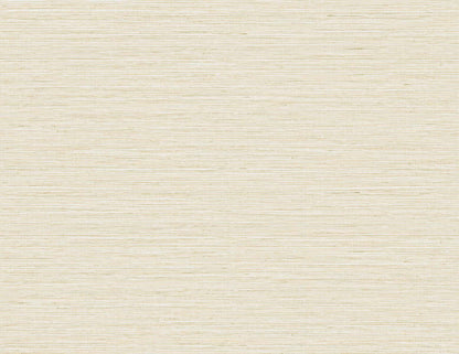 DuPont Tedlar Textures Edmond Faux Sisal Faux Grasscloth Contemporary Tan Matte  - TG60349
