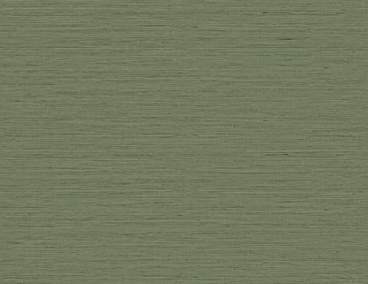DuPont Tedlar Textures Edmond Faux Sisal Faux Grasscloth Contemporary Green Matte  - TG60351