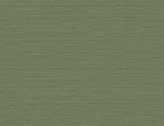 DuPont Tedlar Textures Edmond Faux Sisal Faux Grasscloth Contemporary Green Matte Sidewall - TG60351