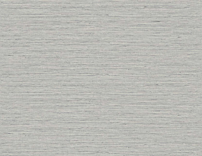 DuPont Tedlar Textures Edmond Faux Sisal Faux Grasscloth Contemporary Grey Matte  - TG60352