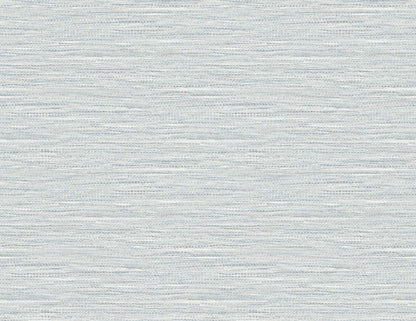 DuPont Tedlar Textures Braided Faux Jute Faux Grasscloth Contemporary Blue Matte  - TG60404