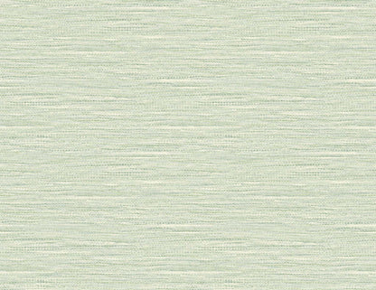 DuPont Tedlar Textures Braided Faux Jute Faux Grasscloth Contemporary Green Matte  - TG60408